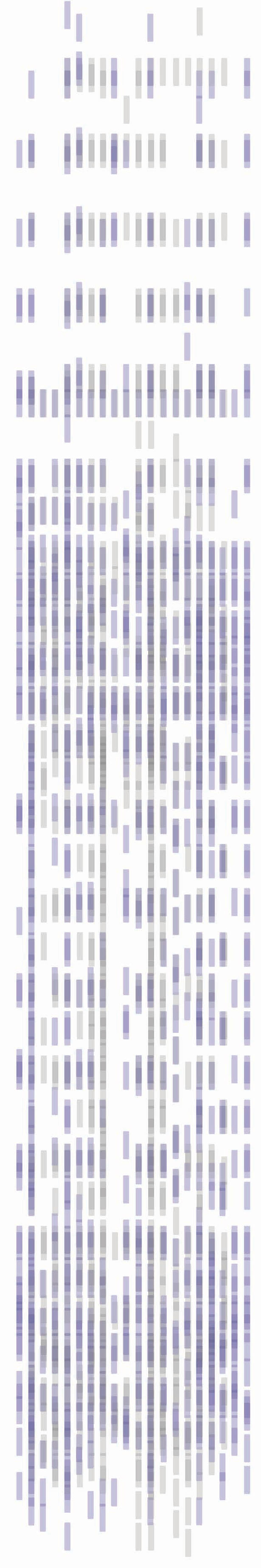 Bus Activity Diagram