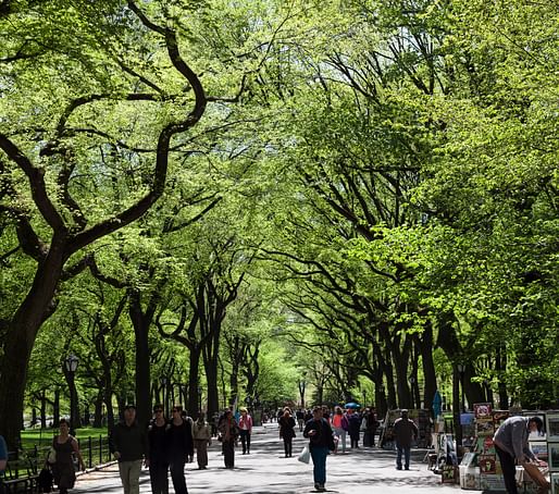 Central Park in the springtime. Photo: Rick Harris/Flickr.