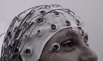 Tinkering connections between architecture and neuroscience