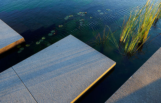 Detail of Naturally Filtered Pool