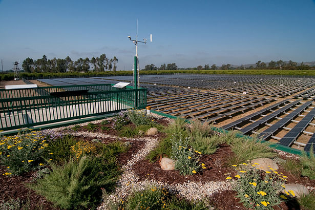 The green roof at Limoneira renewable energy project