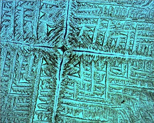 Dried biosaline patterns formed by the interaction of Escherichia coli cells with common salt. / Credit: J. M. Gómez-Gómez