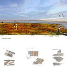 Landscape architecture_ Charting The American Bottom