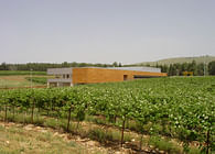 Galil Mountain Winery 
