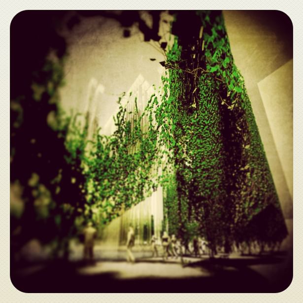 The exterior arcade wall forms the interior cloister of the topiary garden.