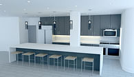 Private Residence- Kitchen Remodel