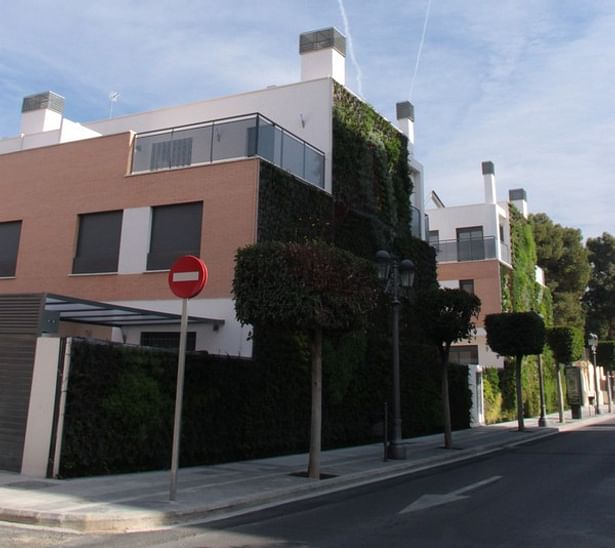 Vertical garden. Paterna.