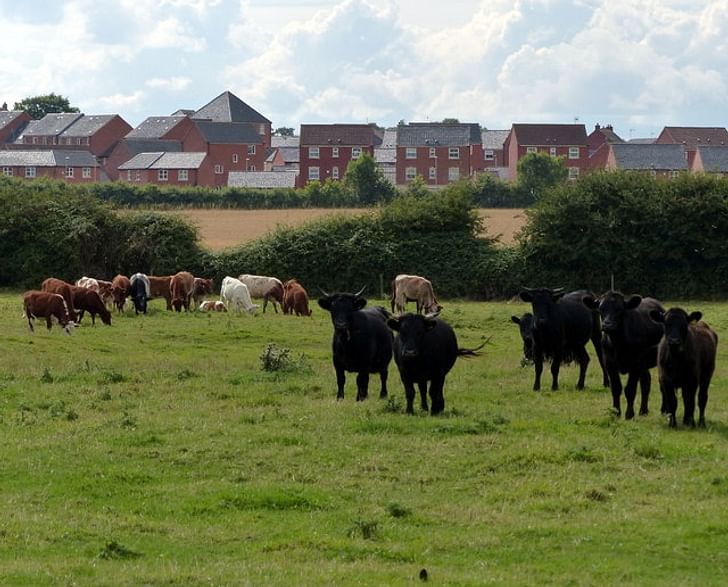 Housing taking over farmland in Leicester, image via geophotos.