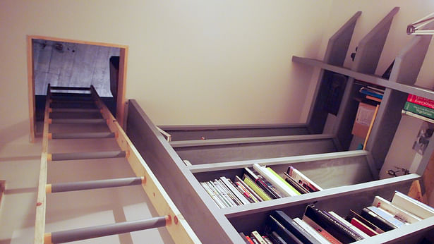 bedroom loft ladder and book shelves
