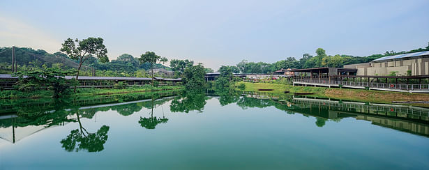 Sited along Upper Seletar Reservoir, the setting of River Safari is an attraction unto itself