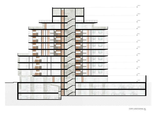 Section - Project´s Longitudinal Section. (Image of shared autorship)