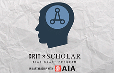 AIAS selects students to participate in CRIT Scholar fellowship program