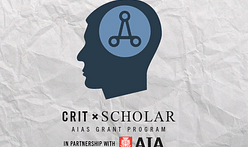 AIAS selects students to participate in CRIT Scholar fellowship program