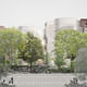 The view of the exterior façade of the Gilder Center from 79th Street and Columbus Avenue, including street trees, park plantings, and buildings on the west side of 79th Street, as it would appear at opening. Courtesy of Studio Gang Architects