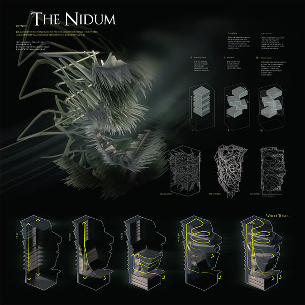 the nidum original concept