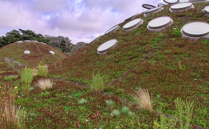 Paul Kephart's green roof of the California Academy of Sciences. Photo via flickr/volcan96.
