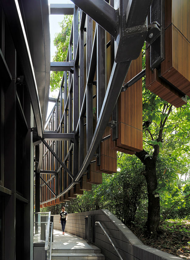 Vertical sun-shading fins as metaphor of surrounding tree-scape