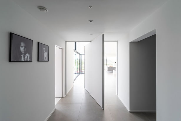 Modern pivoting door with central axis and modular locking technology