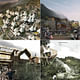 Winners of the AIM competition, 'Post Earthquake Reconstruction, Ya’an Sichuan-Rebuild Panda’s hometown from the earthquake'. Image courtesy of AIM.