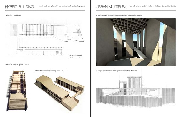 Page 3: Hybrid Building/Urban Multiplex