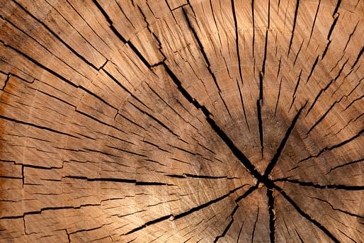 Wood will soon come in far more shapes, sizes, and opacity levels than we're currently familiar with.