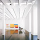 View of one of the galleries. The “leaves” of the roof filter the light and drastically reduce the interior light levels (Photo: Hester Paul)