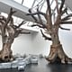 London's Royal Academy wants to install Ai Wei Wei's 'Tree' sculptures in the Annenberg Courtyard, as part of the upcoming Ai Wei Wei exhibition opening this September. Photo via Kickstarter.