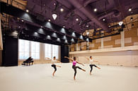 University of Southern California Glorya Kaufman International Dance Center
