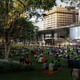 Pershing Square Renew finalist proposal: Agence TER and Team