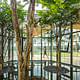 HEX-SYS in Guangzhou, China by OPEN Architecture; Photo: Zhang Chao