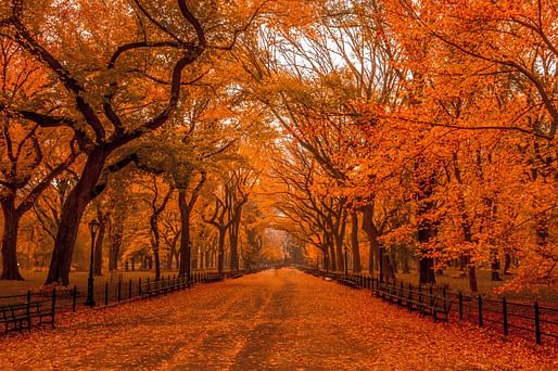 An autumnal Mall in Central Park, November 2015. Photo: Anthony Quintano/Flickr.