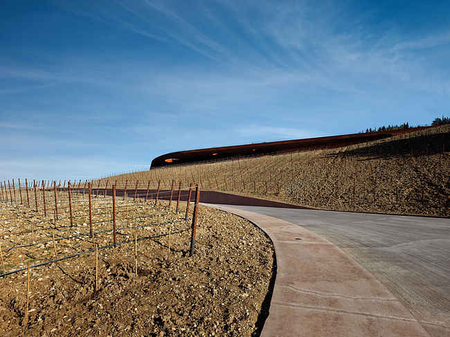 Antinori Winery in Firenze, Italy by Archea Associati. Photo: Pietro Savorelli.