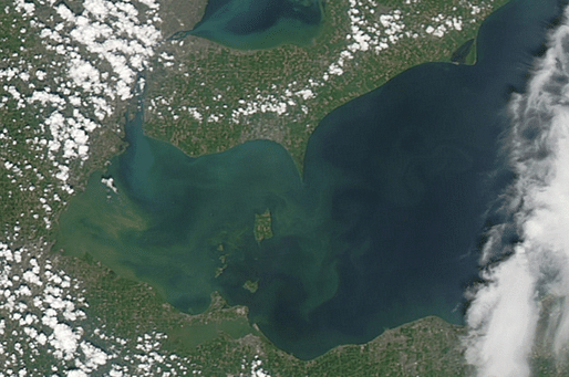 A NASA image of the algae bloom in Lake Erie. Via: Al Jazeera