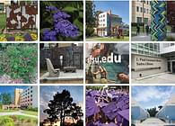  San Francisco State University Campus. The Architecture at Zero 2016 Competition Challenge at the