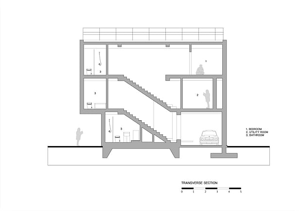 transvers section 2