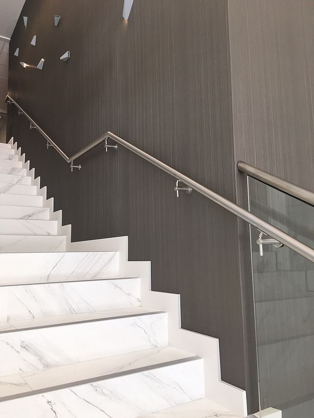 Wall Mounted Stainless Steel Handrail in a Brushed finish transitions onto the glass railings