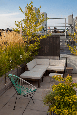 Staghorn NYC Rooftop Landscape Design 