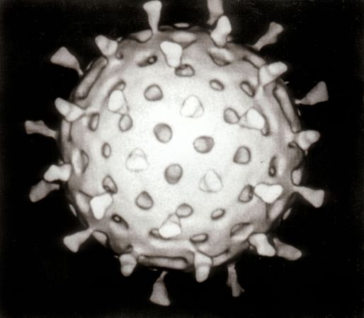 A digitally-constructed image of a rotavirus. Credit: Wikipedia