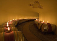 Winery in Chianti